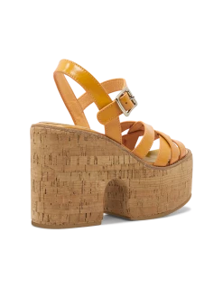 ROC Seasonal Platforms PAIGE