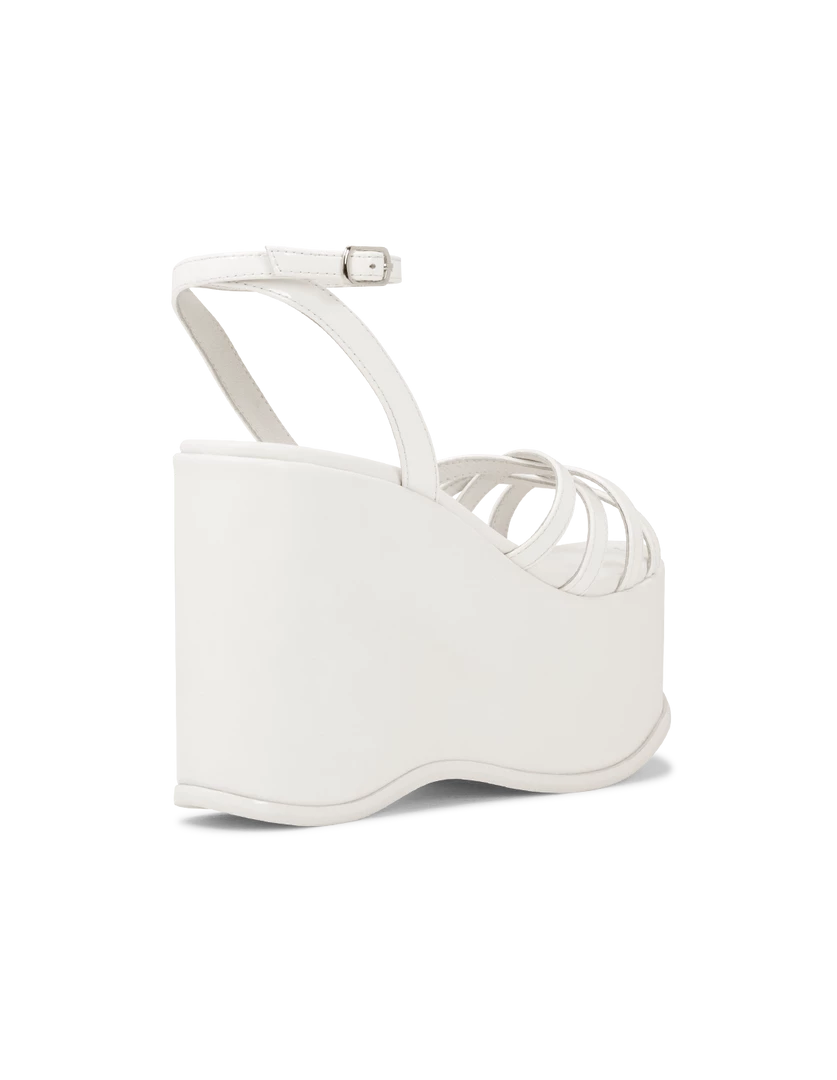 ROC Seasonal ROXIE Platforms