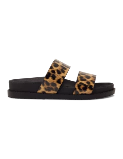 ROC Seasonal Street TAROT