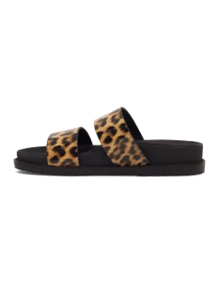 ROC Seasonal Street TAROT