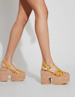 ROC Seasonal Platforms PAIGE